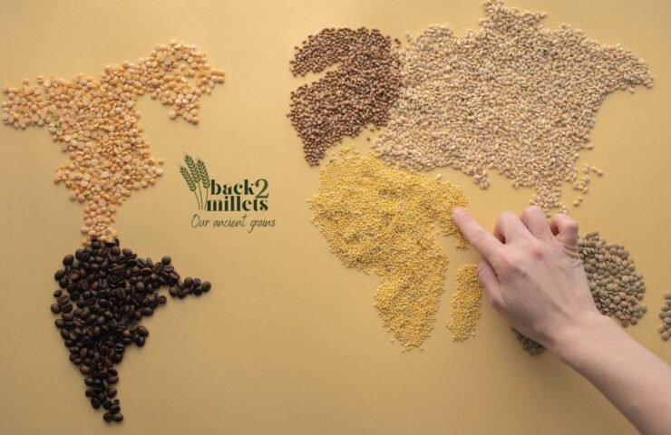 what-are-millets-back2millets