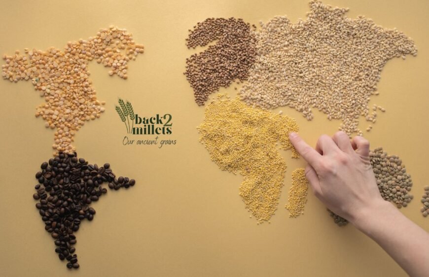 what-are-millets-back2millets