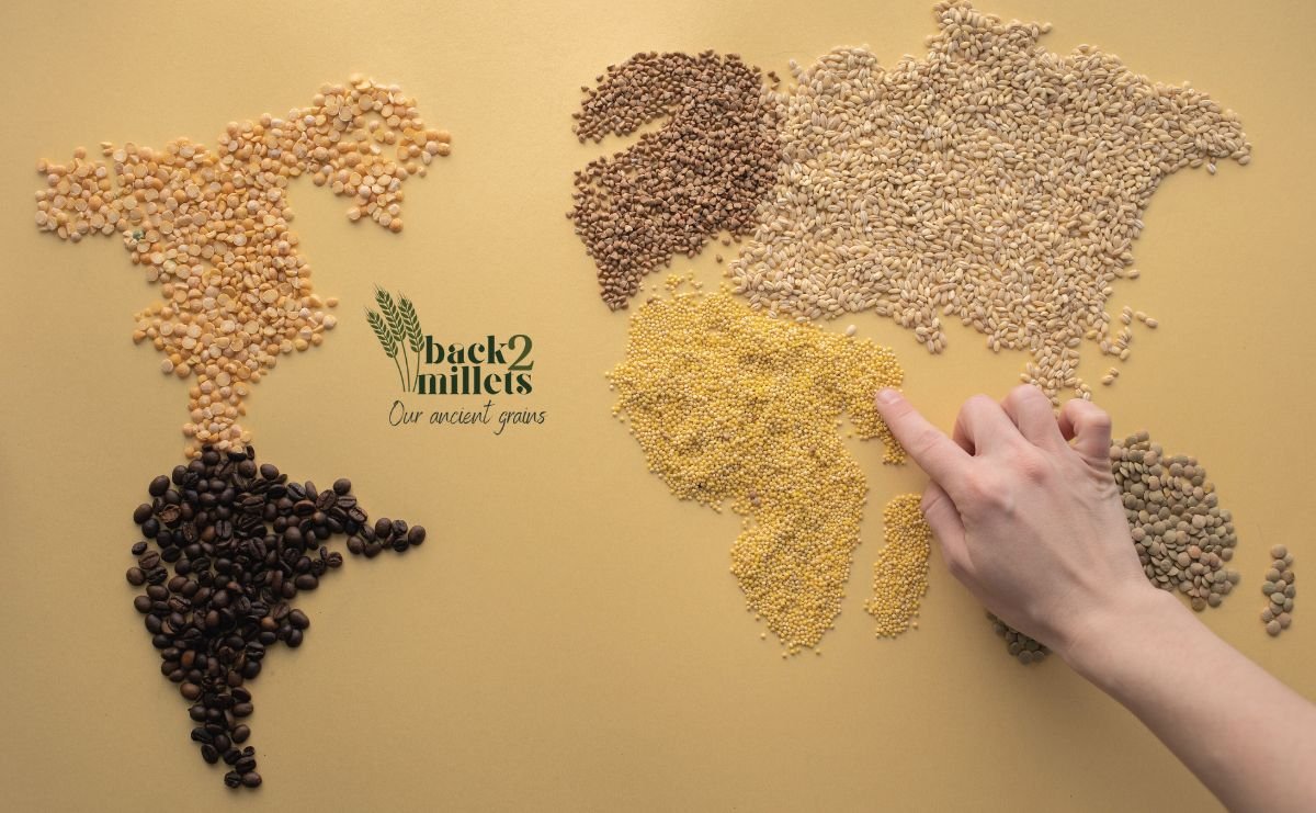 what-are-millets-back2millets